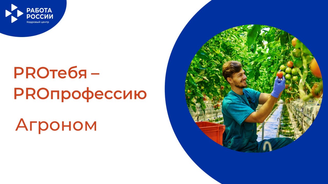 PROтебя - PROпрофессию