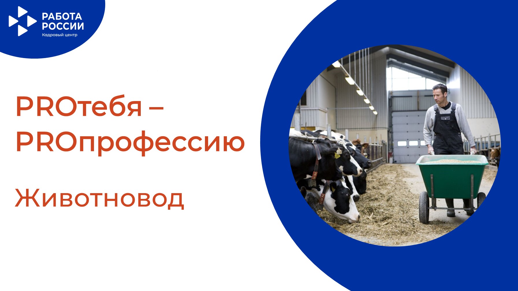 PROтебя - PROпрофессию