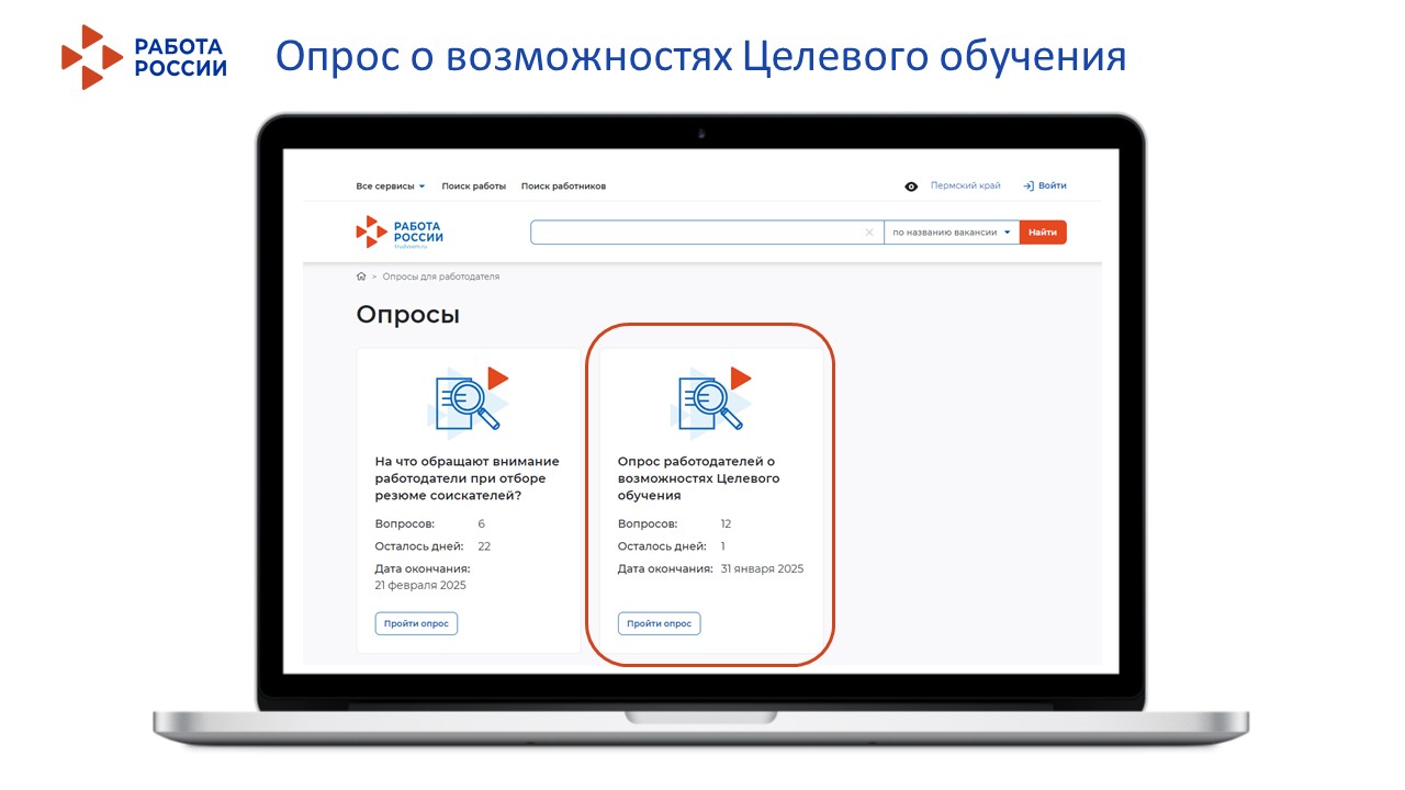 Приглашаем работодателей Пермского края принять участие в опросе о возможностях Целевого обучения на портале «Работа России» 