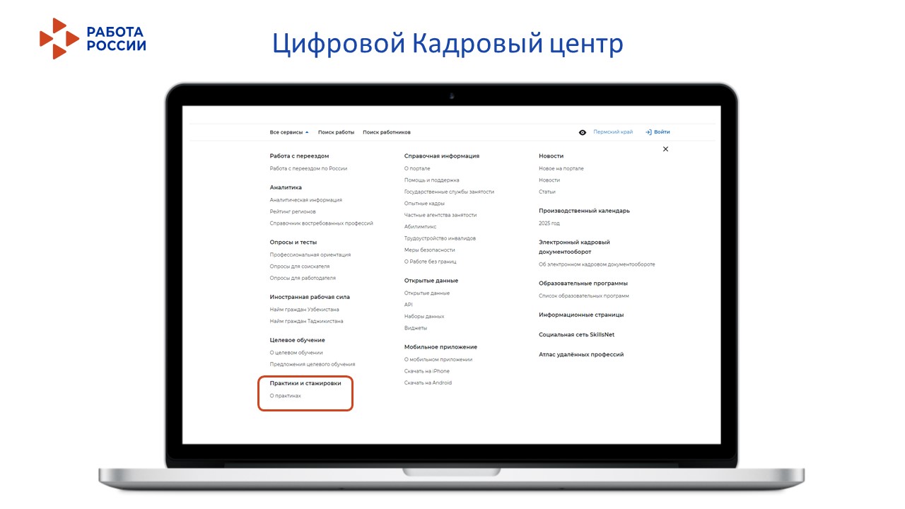 Знакомим с сервисом «Стажировки и практики» на портале «Работа России»