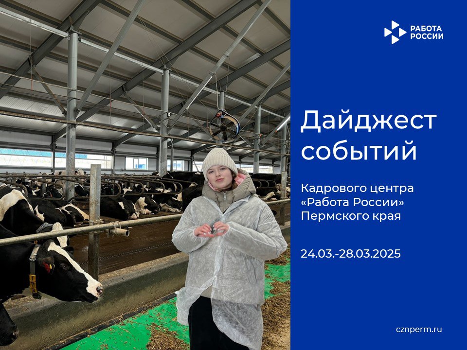 Дайджест событий Кадрового центра «Работа России» Пермского края
