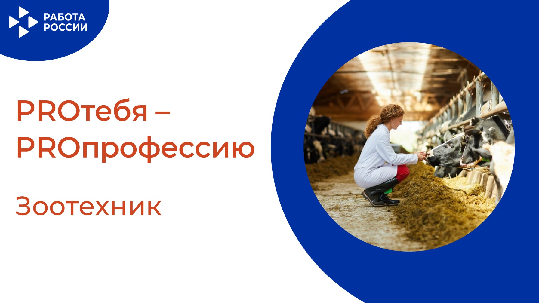 PROтебя - PROпрофессию