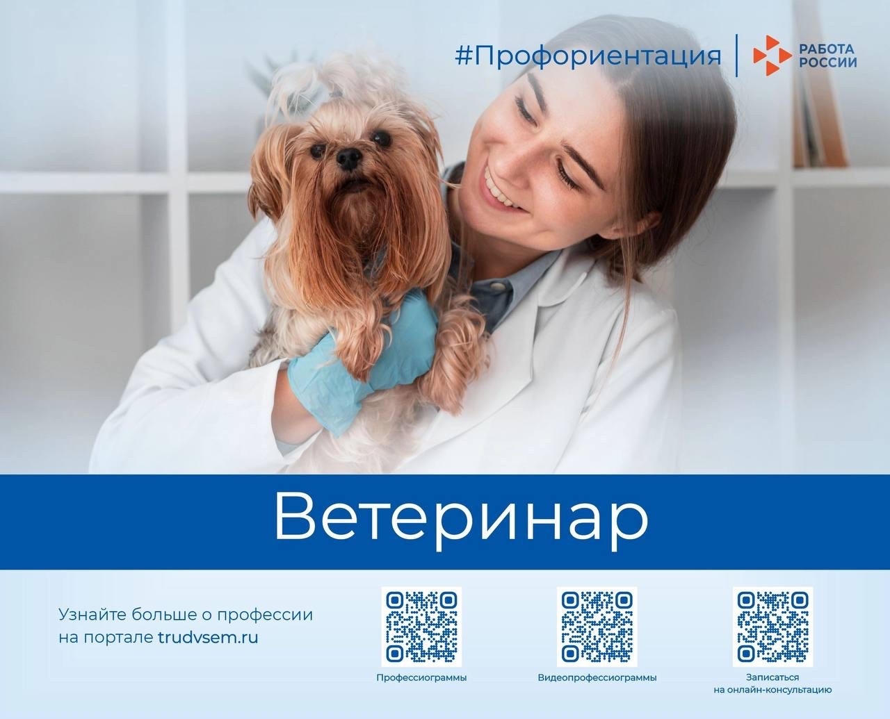 Знакомим с востребованными профессиями рынка труда Пермского края. Сегодня в рубрике профессия «Ветеринар» 